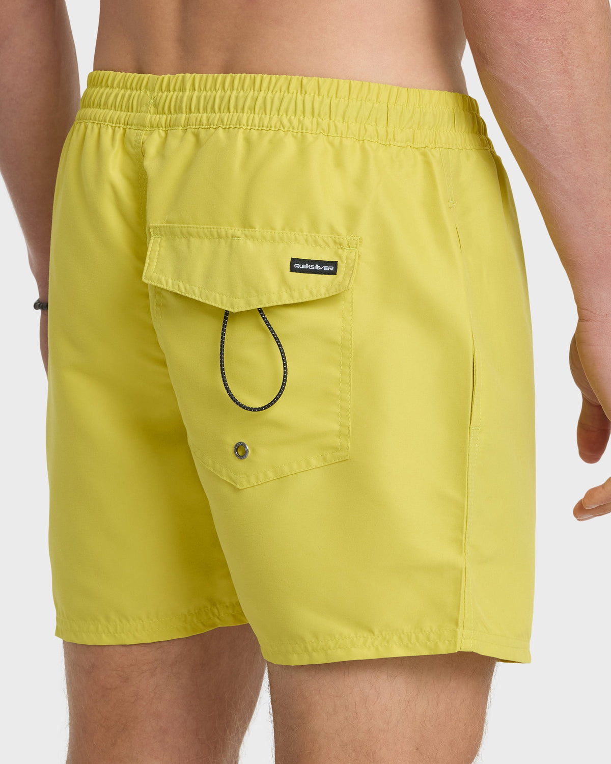 Everyday Solid 17" Swim Trunks - Acacia | Quick Silver