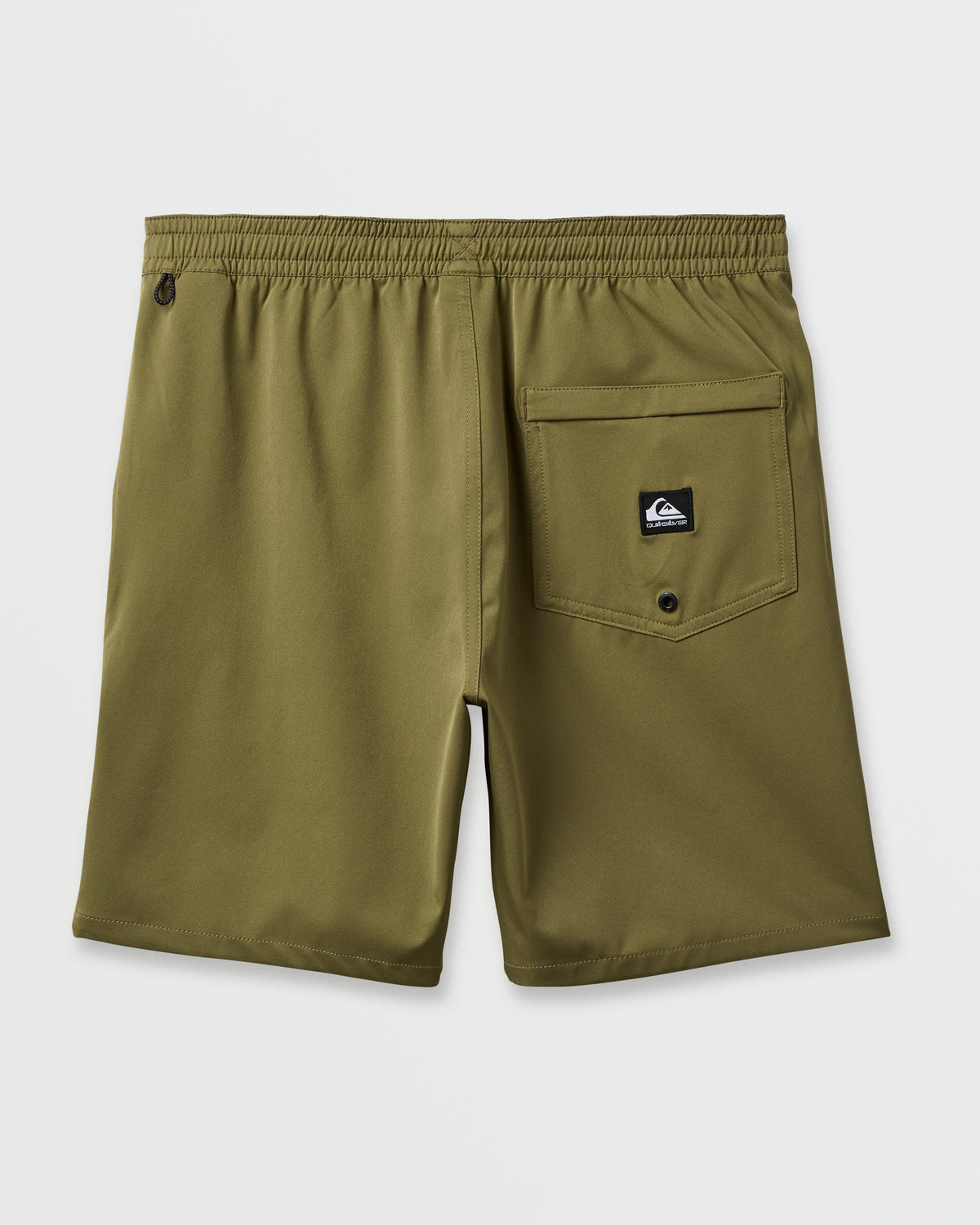 Taxer Amphibian 18" Hybrid Shorts - Aloe | Quick Silver