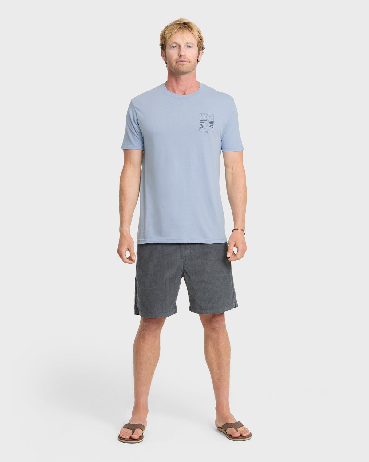 Ca PCH Cruisin T-Shirt - Ashley Blue | Quick Silver
