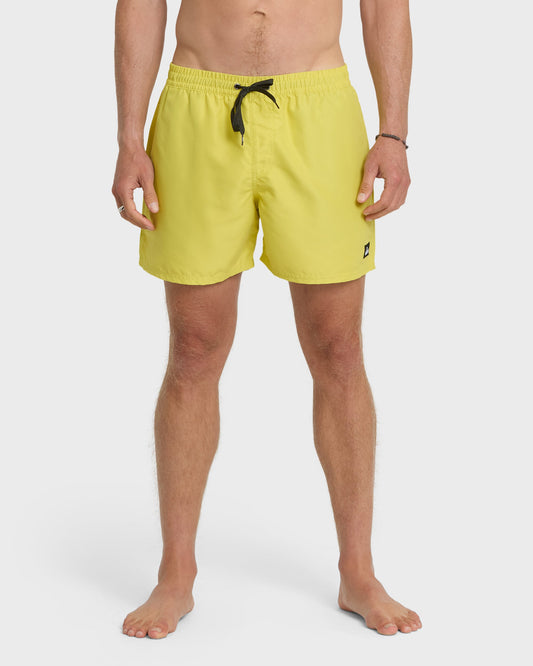 Everyday Solid 17" Swim Trunks - Acacia | Quick Silver