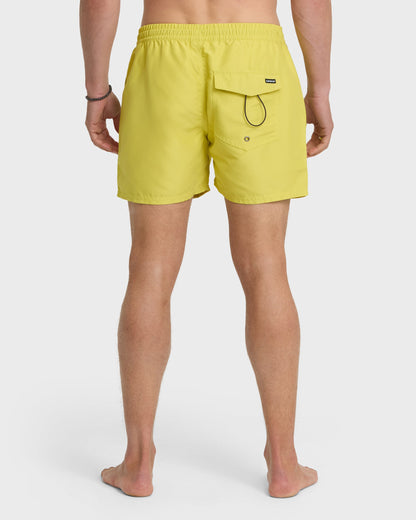 Everyday Solid 17" Swim Trunks - Acacia | Quick Silver
