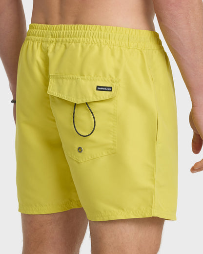 Everyday Solid 17" Swim Trunks - Acacia | Quick Silver