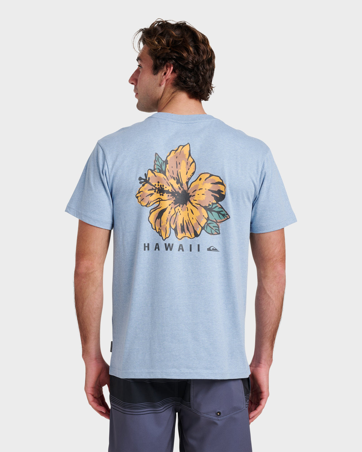 Hi Garden Classic T-shirt - Ashley Blue Heather | Quick Silver