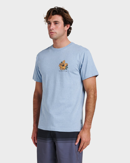 Hi Garden Classic T-shirt - Ashley Blue Heather | Quick Silver