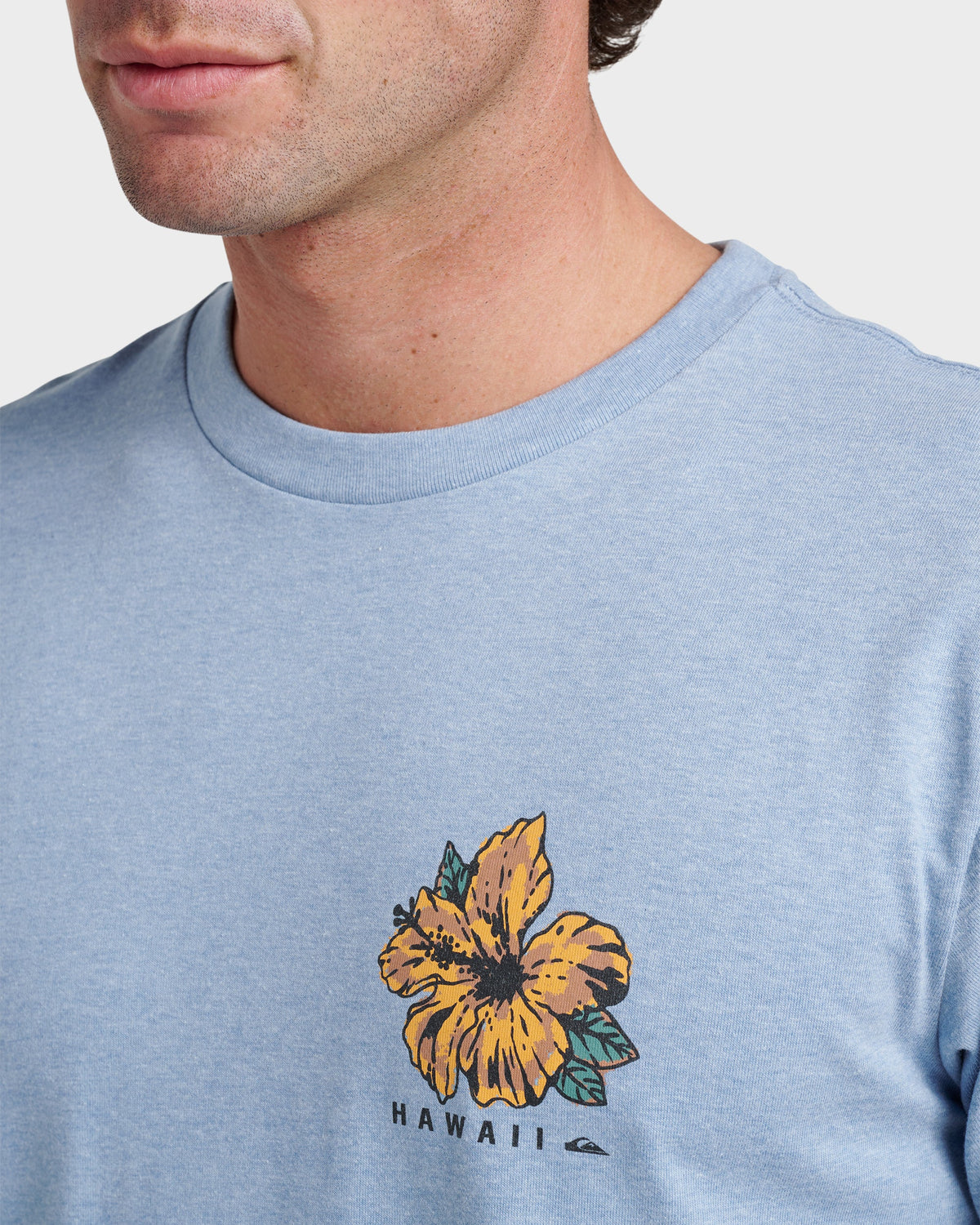 Hi Garden Classic T-shirt - Ashley Blue Heather | Quick Silver