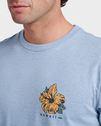 Hi Garden Classic T-shirt - Ashley Blue Heather | Quick Silver