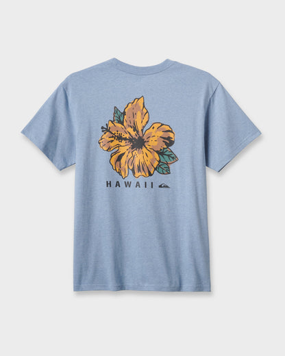 Hi Garden Classic T-shirt - Ashley Blue Heather | Quick Silver