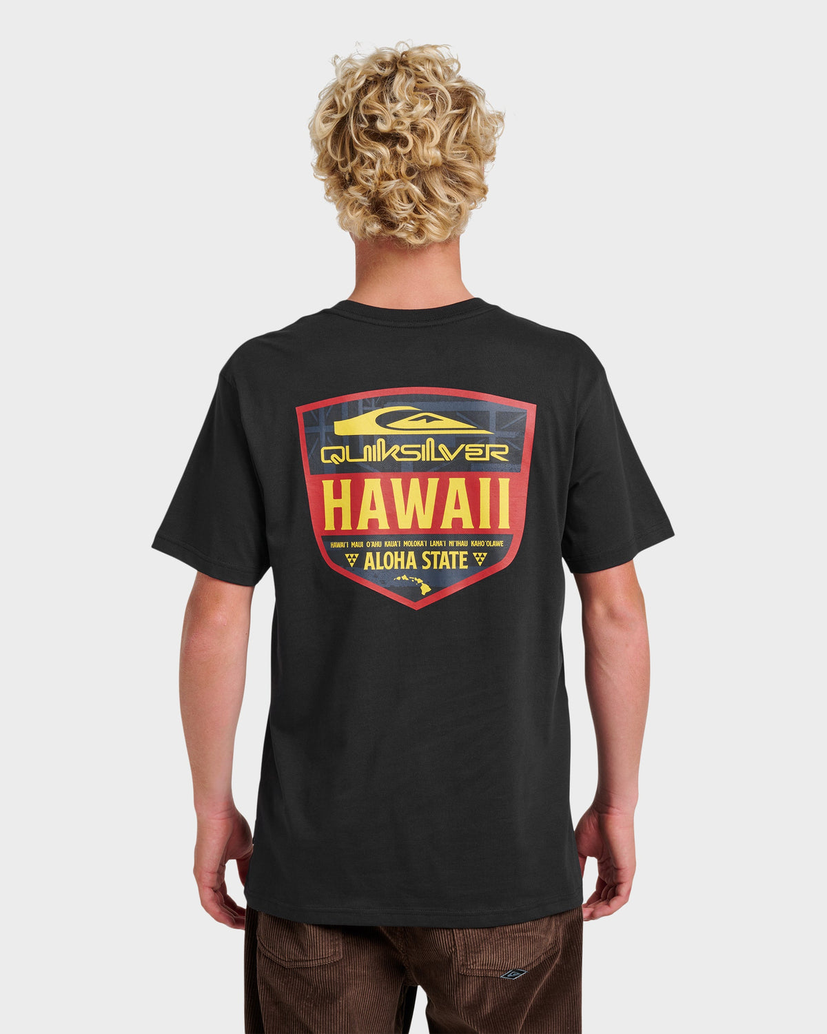 Hi Shield Classic T-shirt - Black | Quick Silver