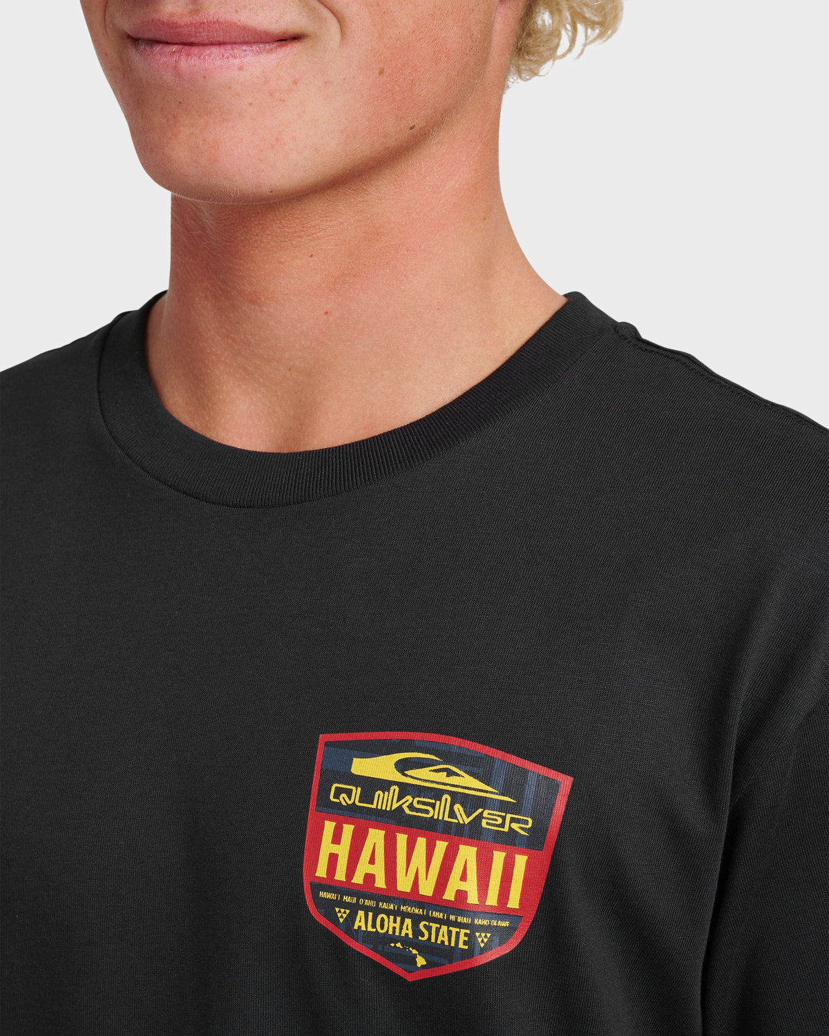 Hi Shield Classic T-shirt - Black | Quick Silver