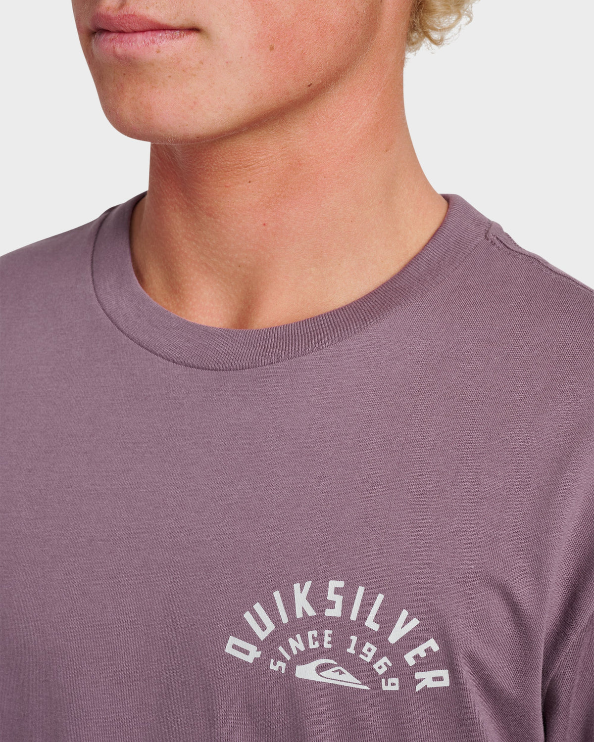 Sunrise Arch Classic T-shirt - Vintage Violet | Quick Silver