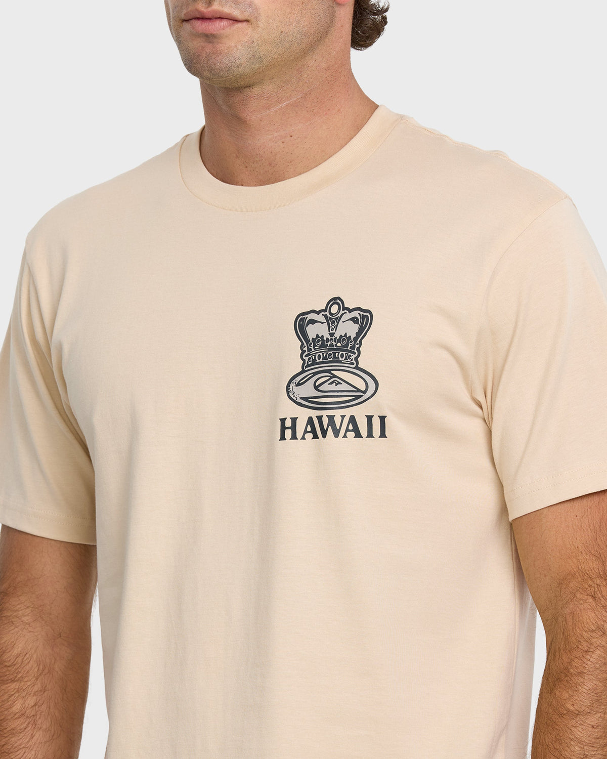 808 Represent Classic T-shirt - Fog | Quick Silver