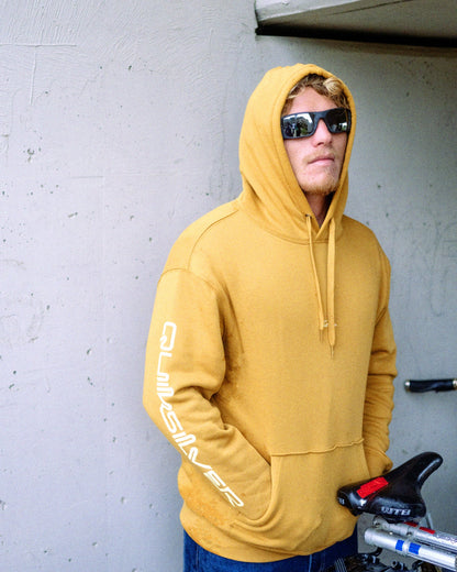 Passage Logo Hoodie - Wood Thrush | Quick Silver