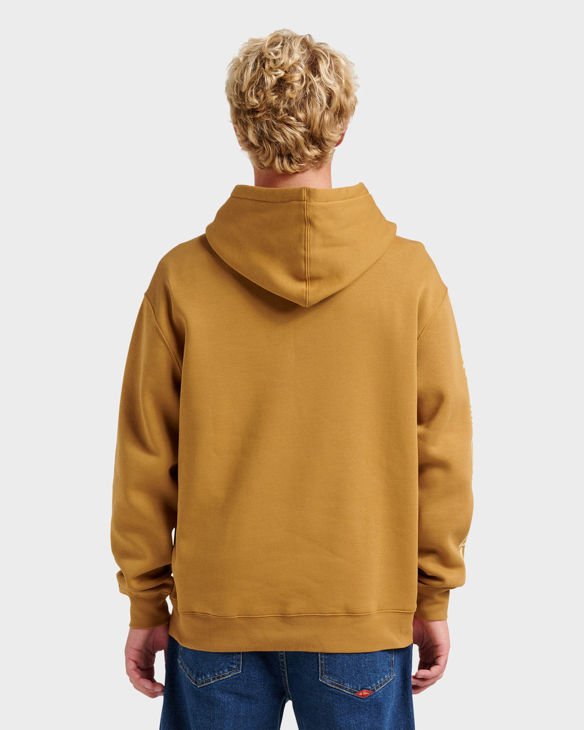Passage Logo Hoodie - Wood Thrush | Quick Silver
