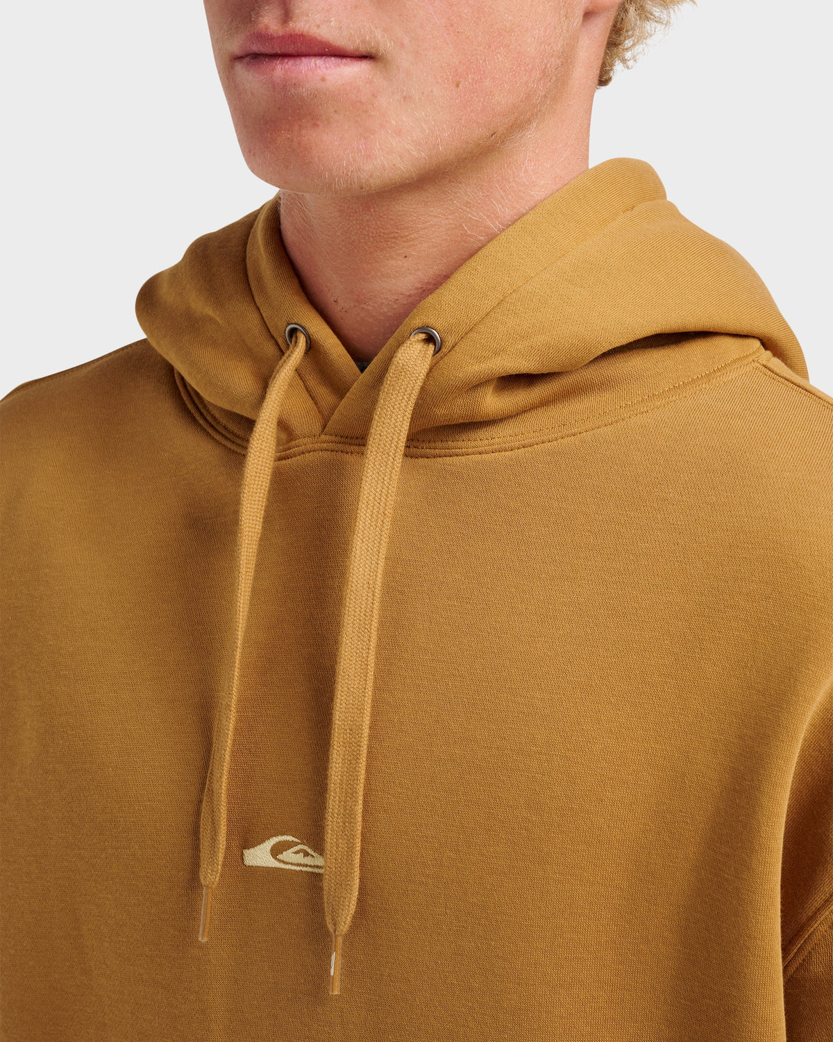 Passage Logo Hoodie - Wood Thrush | Quick Silver