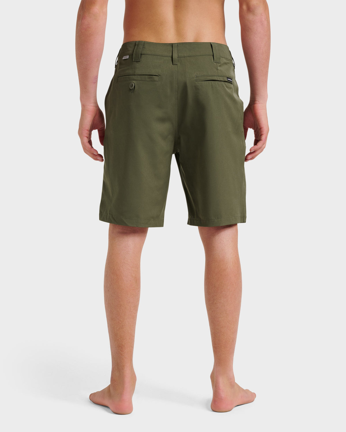 Union Amphibian 20" Hybrid Shorts - Grape Leaf | Quick Silver