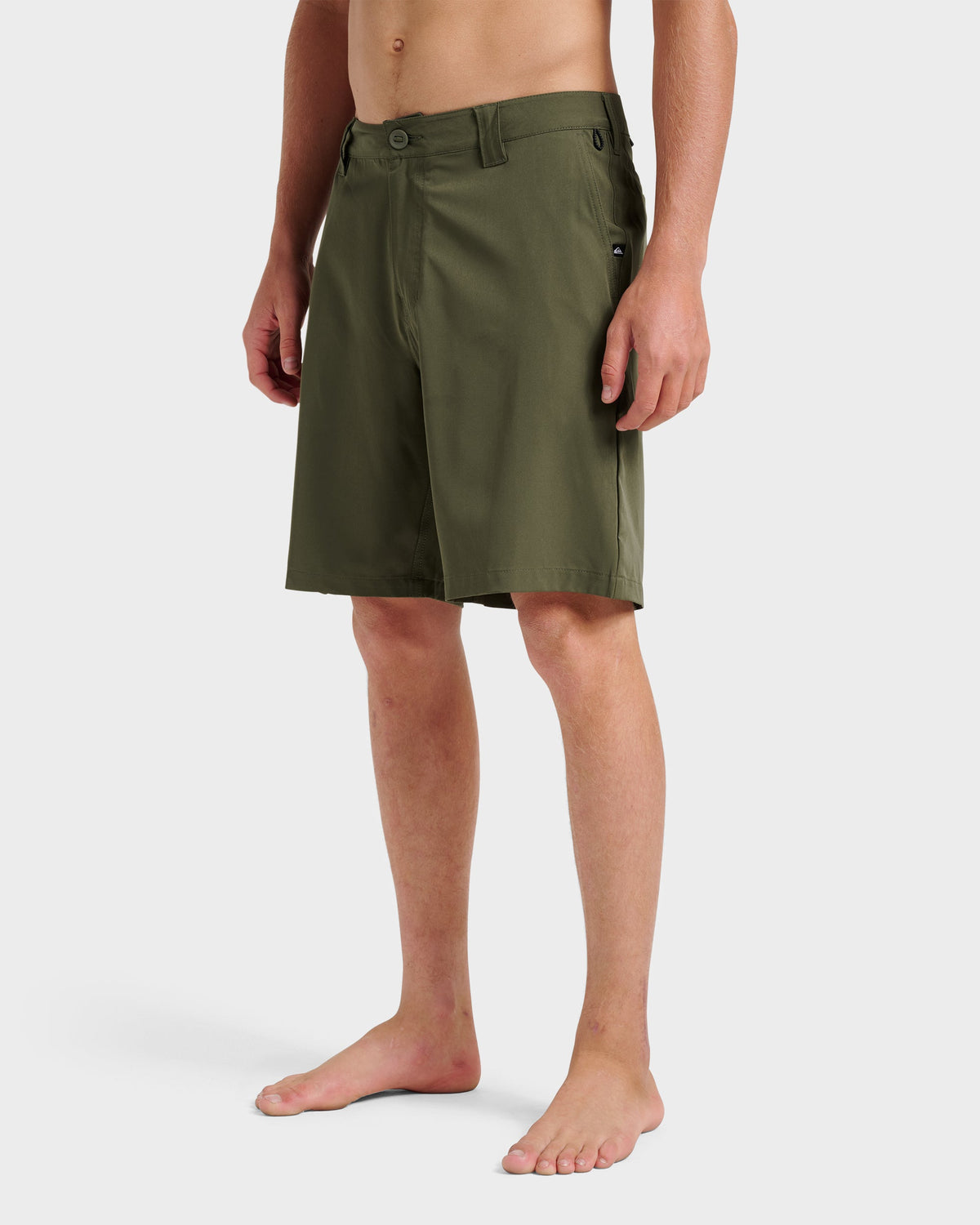 Union Amphibian 20" Hybrid Shorts - Grape Leaf | Quick Silver