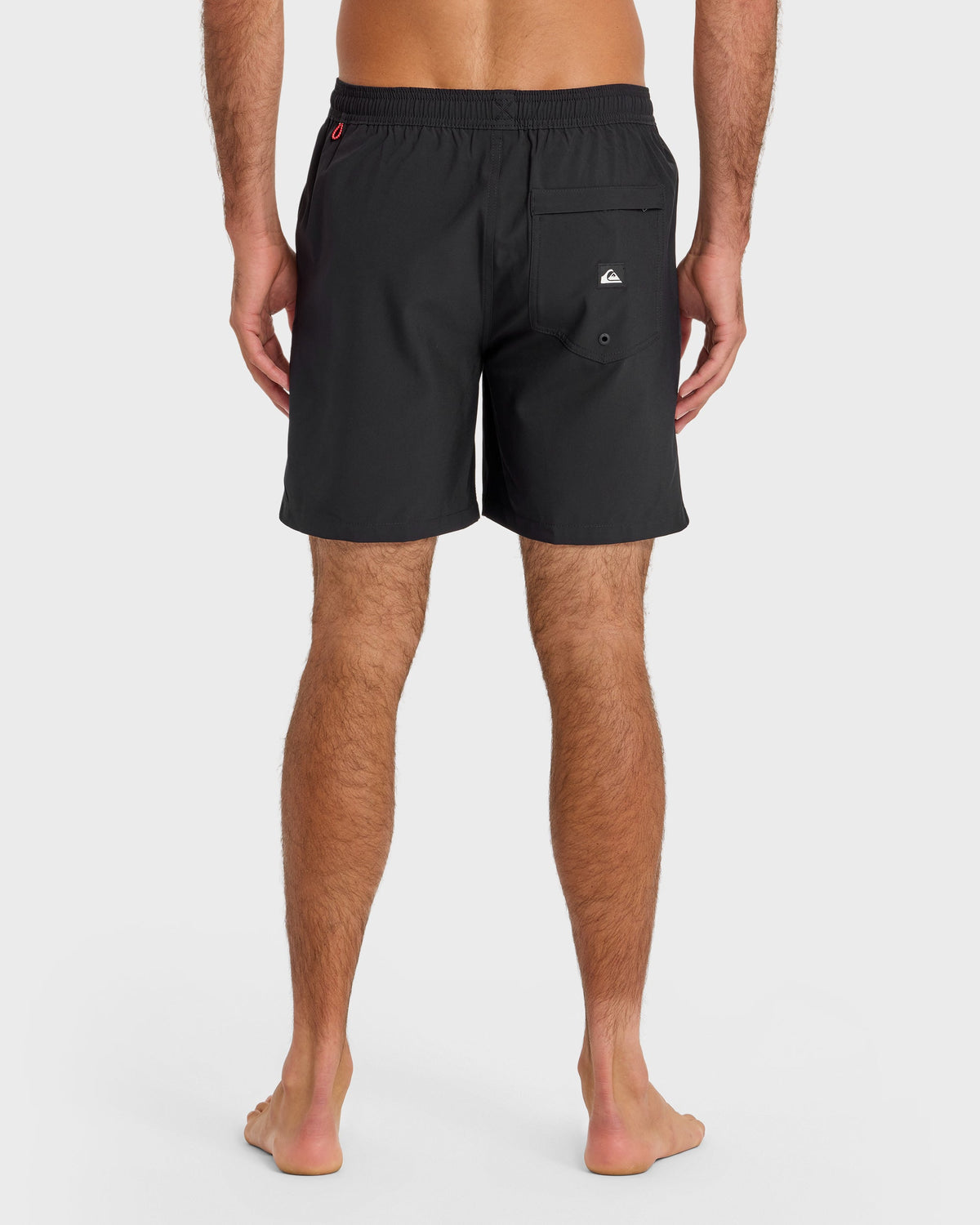 Taxer Amphibian 18" Hybrid Shorts - Black | Quick Silver
