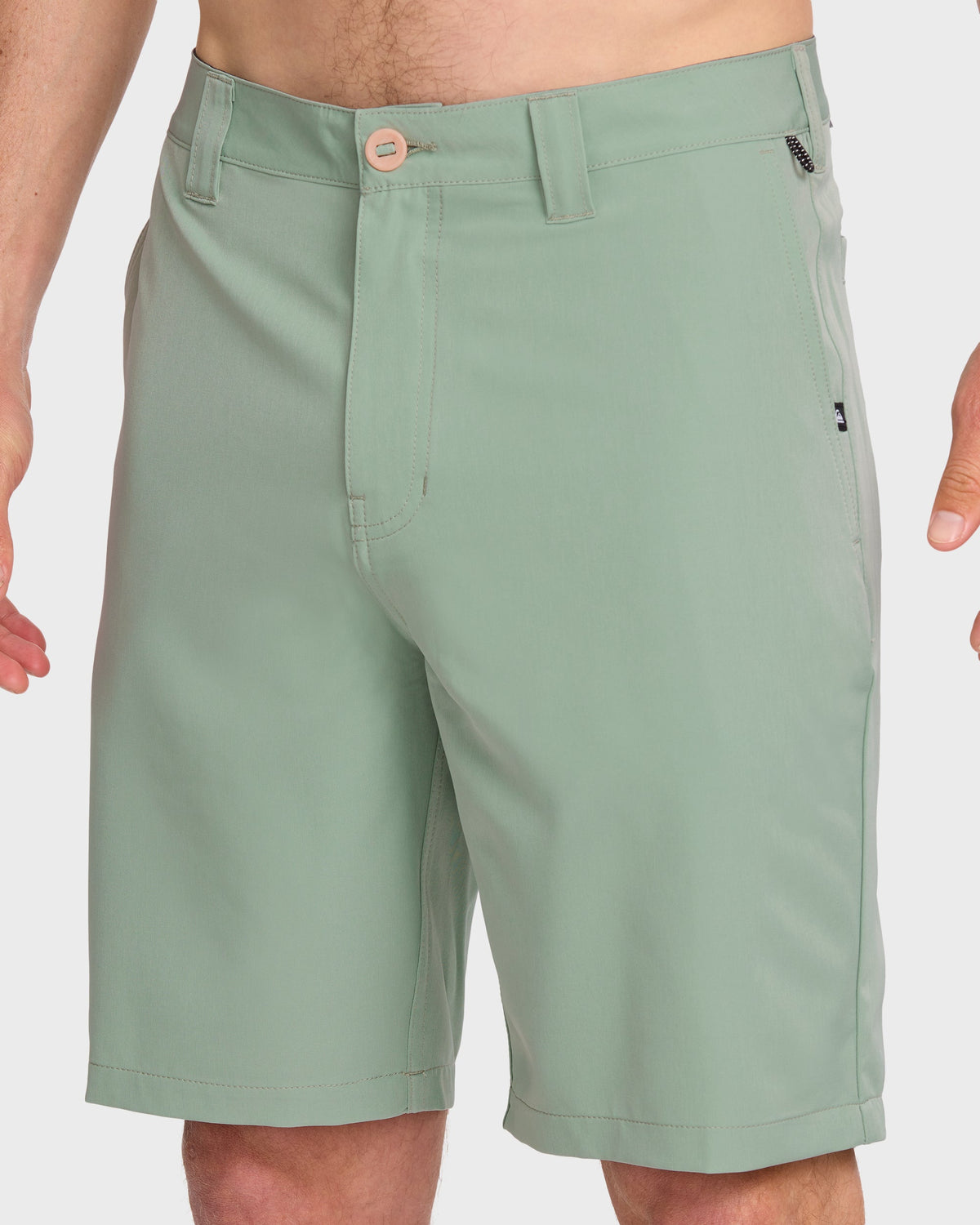 Union Amphibian 20" Hybrid Shorts - Herb | Quick Silver
