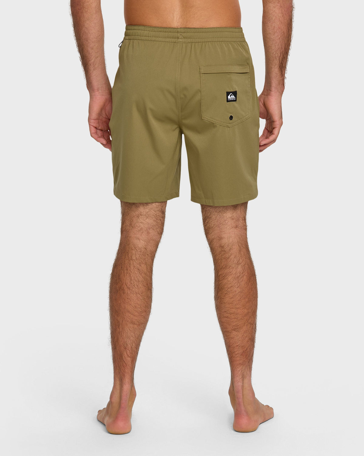 Taxer Amphibian 18" Hybrid Shorts - Aloe | Quick Silver