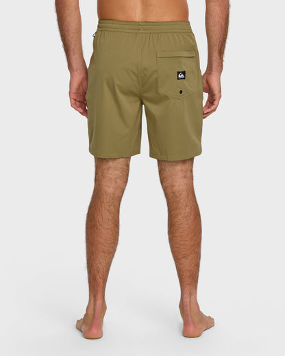 Taxer Amphibian 18" Hybrid Shorts - Aloe | Quick Silver