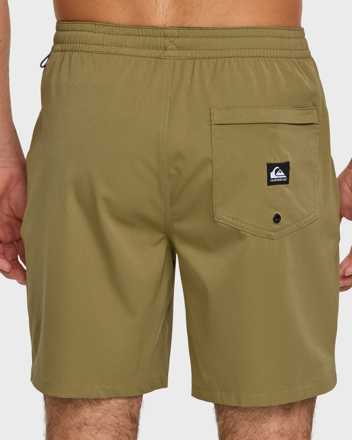 Taxer Amphibian 18" Hybrid Shorts - Aloe | Quick Silver