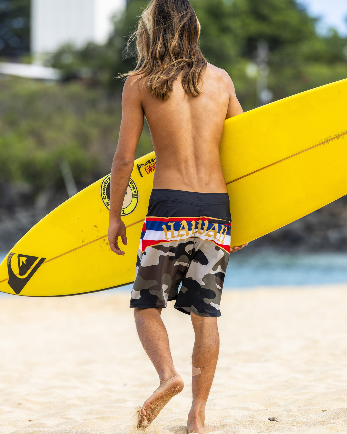 Hi Panel 20" Boardshorts - Grape Leaf | Quick Silver