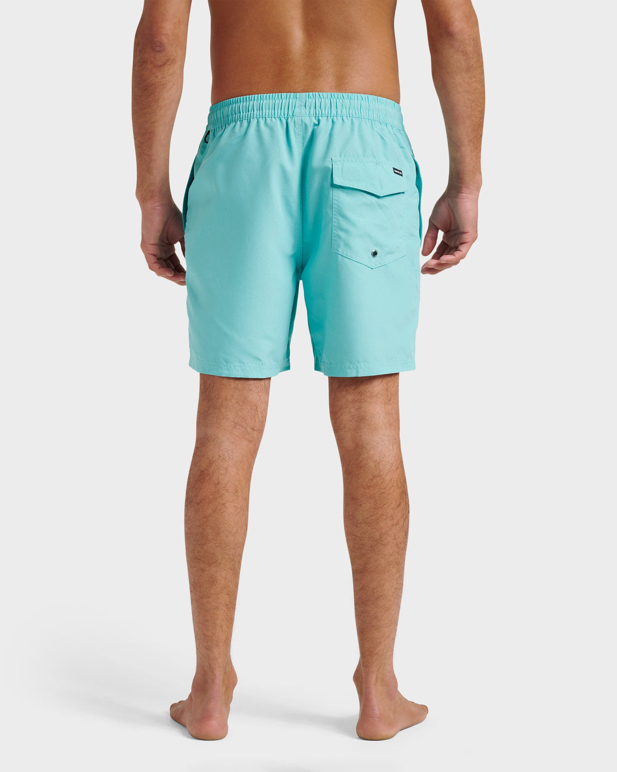 Everyday Solid 17" Swim Trunks - Aqua Sky | Quick Silver