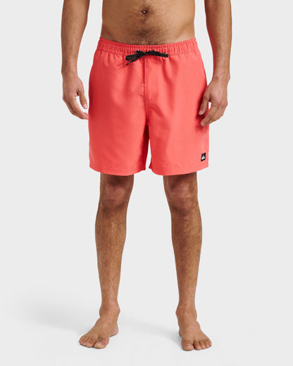 Everyday Solid 17" Swim Trunks - Dubarry | Quick Silver