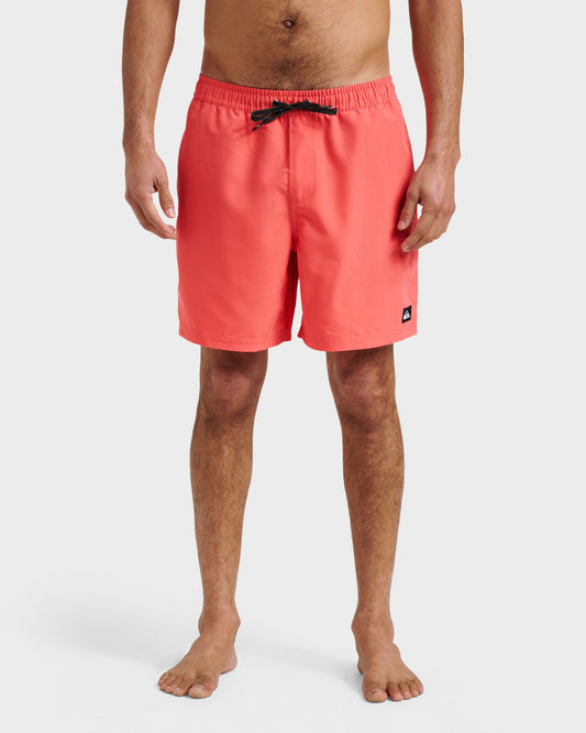 Everyday Solid 17" Swim Trunks - Dubarry | Quick Silver