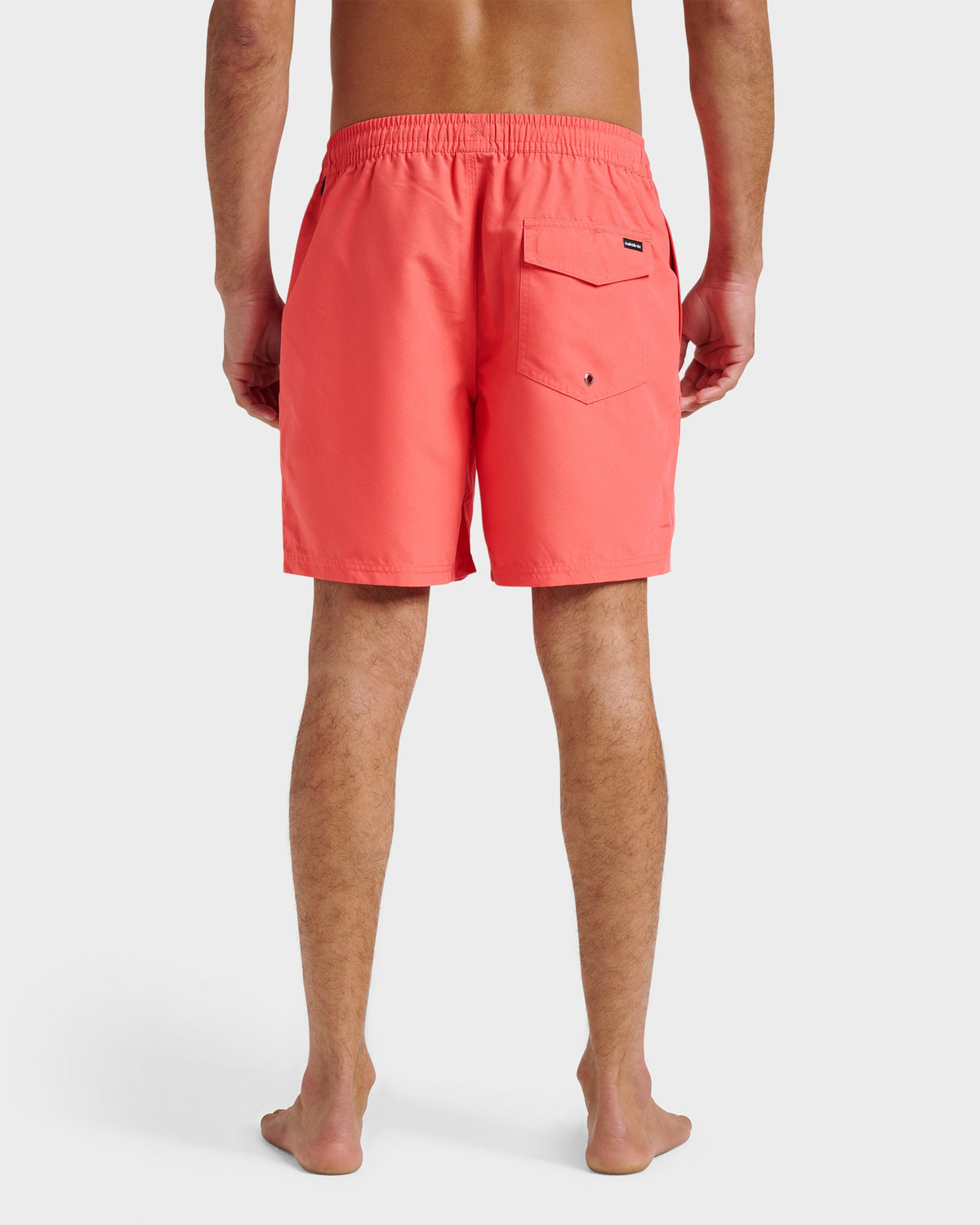 Everyday Solid 17" Swim Trunks - Dubarry | Quick Silver