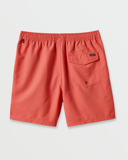 Everyday Solid 17" Swim Trunks - Dubarry | Quick Silver
