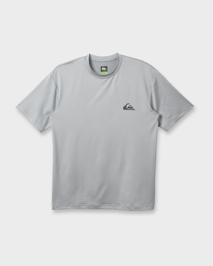 Everyday Short Sleeve Surf Tee - Smokedgray | Quick Silver